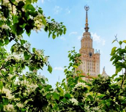 Москва из Владимира